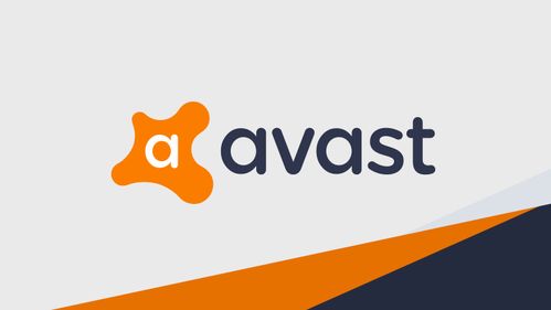 怀孕期间手脚浮肿的应对策略与网络信息安全软件开发的启示